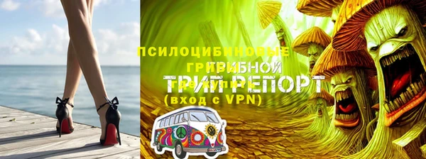 ешки Ельня
