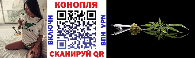 KRAKEN как войти  Избербаш  Шишки марихуана гибрид 